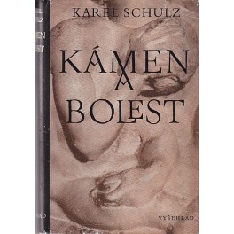 Kámen a bolest - Karel Schulz (1977)