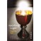 Guiding light - Fr. Joe Robinson (2009)
