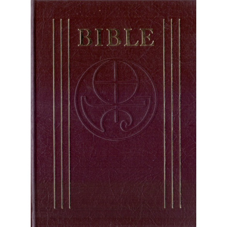 Bible (1984, vel. 14 x 18,5 cm)