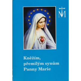 Kněžím, přemilým synům Panny Marie - První část (1992)