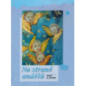 Na straně andělů – James A. Feehan