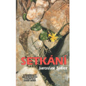 Setkání – Jaroslav Saller (1997)